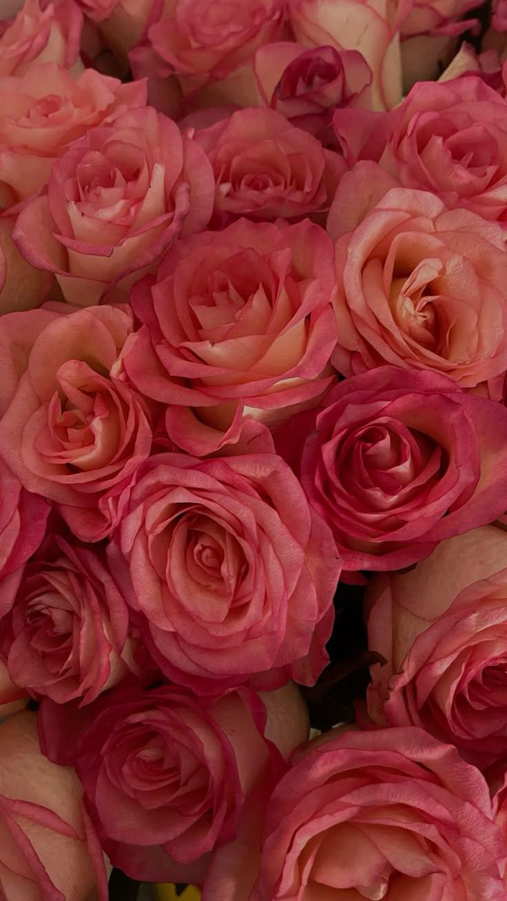 Secret Garden Waltz: Enchanted Bouquet Mix